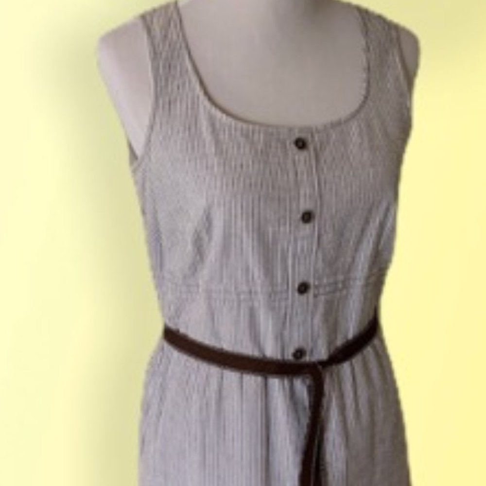 NWOT Chocolate and White Pinned Stripe Shift Dress